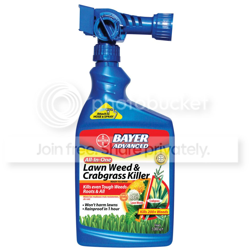 Bayer 32oz All In One Lawn Weed & Crabgrass Killer RTS at Sears.com