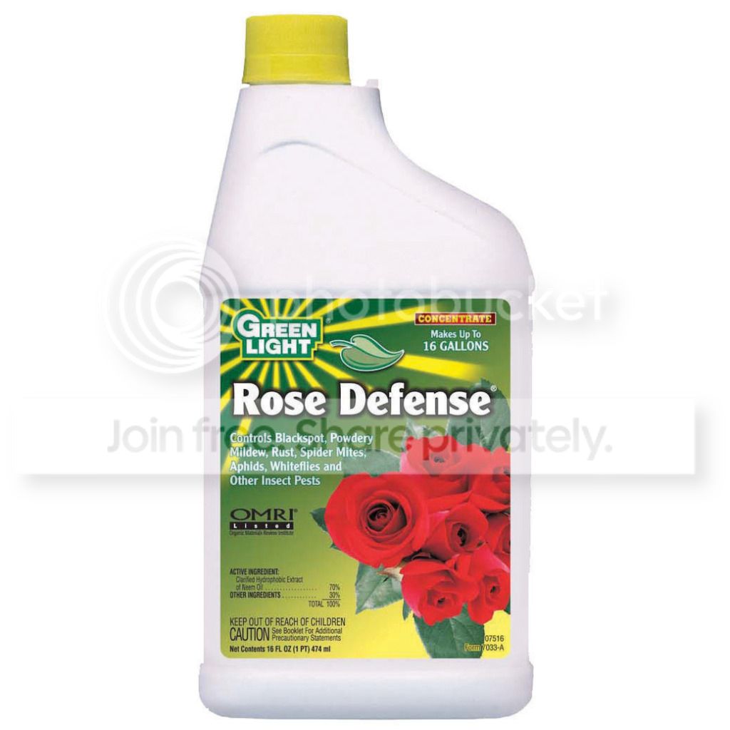 Green Light PT Rose Defense Insecticide & Fungicide at Sears.com