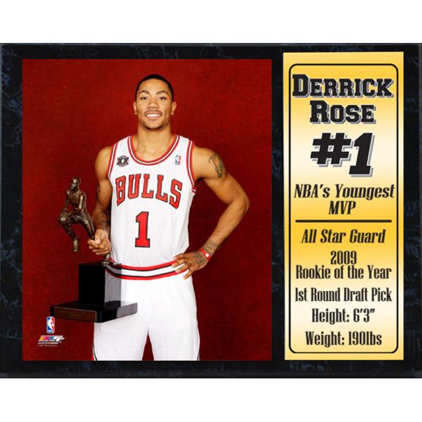 Ddi Chicago Bulls Derrick Rose MVP 12x15 Stat Plaque(Pack of 14) at Sears.com