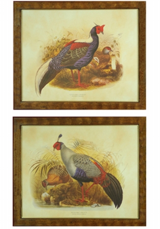 H. Hal Kramer 91-50 Vintage Game Bird Pheasant Illustrations, Set of Two at Sears.com