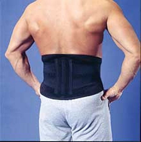 BioFlex Bio-50001 Bioflex Magnetic Lower Back Lumbar Support S/M at Sears.com
