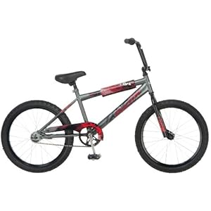 pacific cycle Pacific Boy's Flex 20-Inch BMX Bicycle, Grey at Sears.com