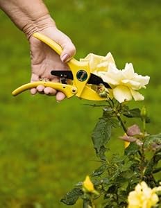 Florian Tools RP-701 Ratchet Pruner with Holster at Sears.com