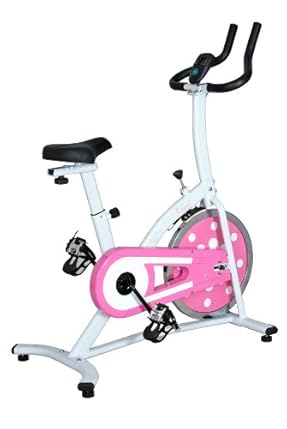 Sunny Health & Fitness (SJTT9) Sunny Health and Fitness Indoor Cycling Bike (Pink) at Sears.com