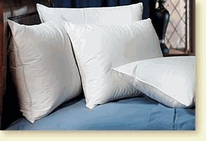 Pacific Coast ? Touch of Down ? Standard Pillow Set (2 Standard Pillows) - Featured in Many Hilton ? Hotels and Resorts at Sears.com