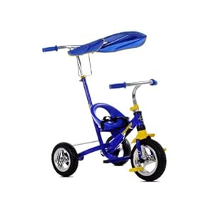 Kent Wee Ride Convertible Tricycle at Sears.com