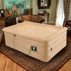 Easy Riser High - Rise Pillowtop Air Bed with Remote at Sears.com