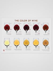 Wine Folly The Color of Wine Chart at Sears.com