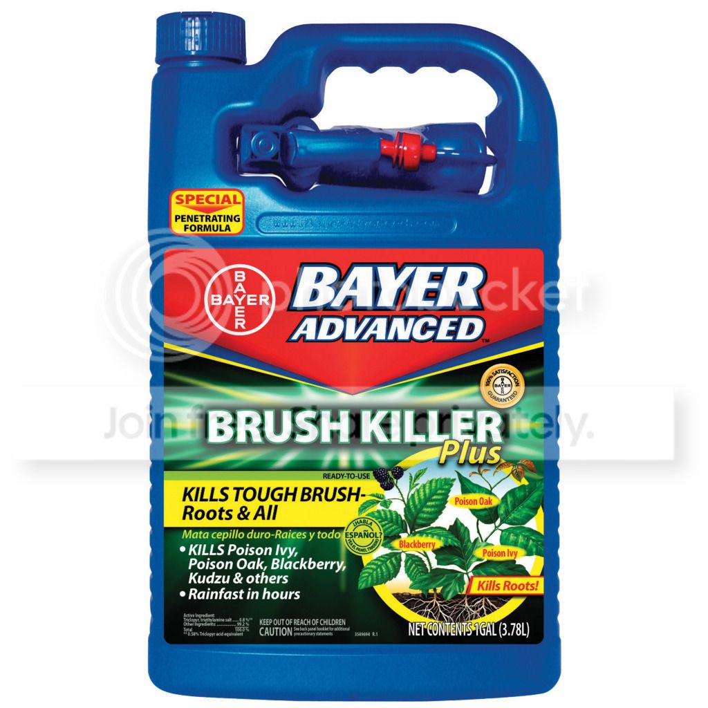 Bayer Gal Brush Killer Plus RTU at Sears.com