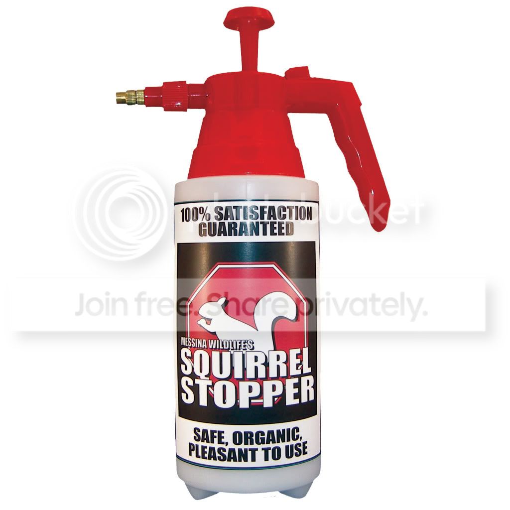 Messina Wildlife Management Squirrel Stopper Repellent RTU Pump, 35.2oz at Sears.com