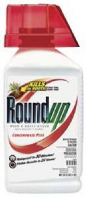 SCOTTS ORTHO ROUNDUP Concentrate Weed And Grass Killer 368 Oz at Sears.com