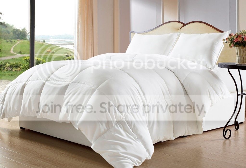 Cozy Beddings White Goose Down Alternative Comforter Reversible (Duvet Insert) KING Size (102 x 90) bedding at Sears.com