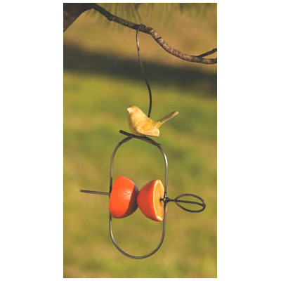 Ancient Graffiti Fruit Spear / Ceramic Bird Feeder (Set of 4) at Sears.com