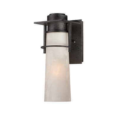 Quoizel Drew 1 Light Outdoor Wall Lantern - Size: 12.50" H x 5" W at Sears.com