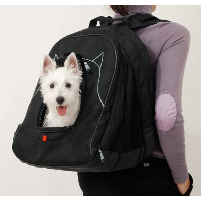 PetEgo Pet Back-Pack at Work Travel System in Black at Sears.com