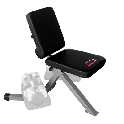 Bayou Adjustable Dumbbell Bench at Sears.com