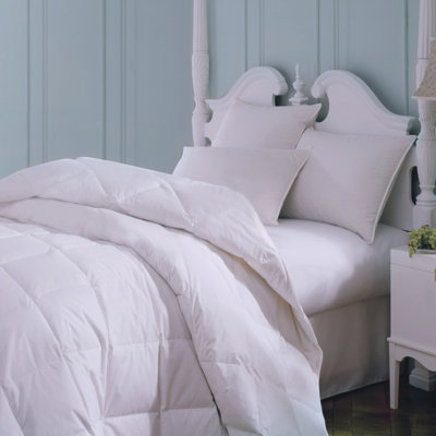 Wildon Home Majestic Cotton Goose Down Comforter in White - Size: Full at Sears.com