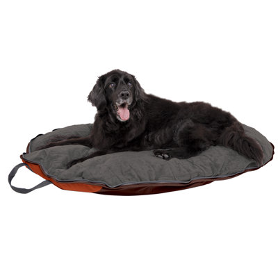 Dog Whisperer Folding Travel Dog Bed - Size: Medium-For Dog up to 45 lbs at Sears.com