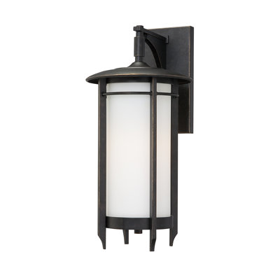 Quoizel Darrow 17" One Light Outdoor Wall Lantern in Imperial Bronze at Sears.com