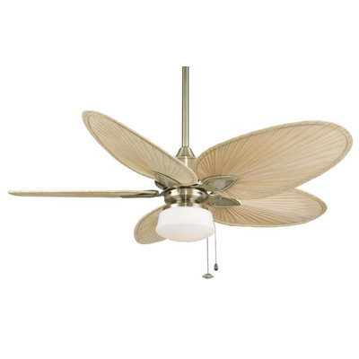 Fanimation Low Profile Two Light Ceiling Fan Light Kit - Finish: Bronze Accent at Sears.com