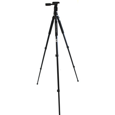 Dolica 73" Proline Tripod and Pan Head at Sears.com