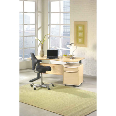 The Ergo Office Ergonomic Sit Stand Motorized Computer Desk - Finish: Real Espresso at Sears.com