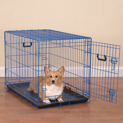 Crate Appeal INTERMEDIATE LIME TWIST COLORED WIRE PET CRATE dog crates