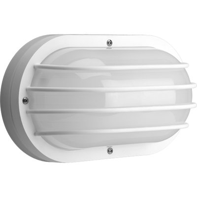 Progress Lighting 2 Light Wall/Ceiling Light at Sears.com