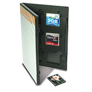 GEPE Cardsafe Cf Card Holder In Dvd Case, Holds 6 at Sears.com