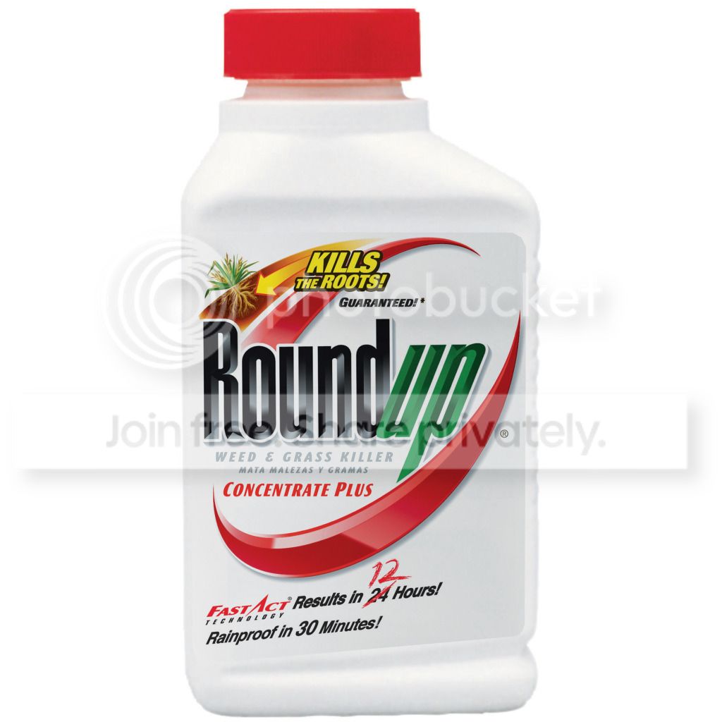 The Scotts Company Scotts Roundup 16oz 25% Conc Weed & Grass Killer Plus at Sears.com