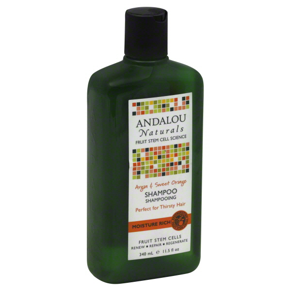 Andalou Naturals Moisture Rich Shampoo Argan and Sweet Orange 11.5 fl oz
