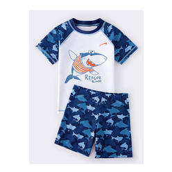 KettyMore Kids Boys Fabulous Cartoon Pattern Summer Two-Piece Round Neck Comfy Summer Beach Swimwear