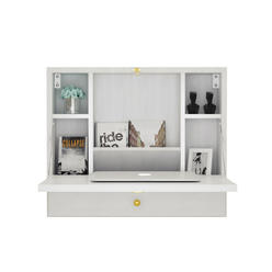 Laptop Desk With Printer Storage Space