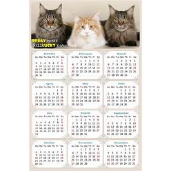Pelican-Industrial 2021 Magnetic Calendar - Calendar Magnets - Today is My Lucky Day - Cat Themed 015 (7 x 10.5)