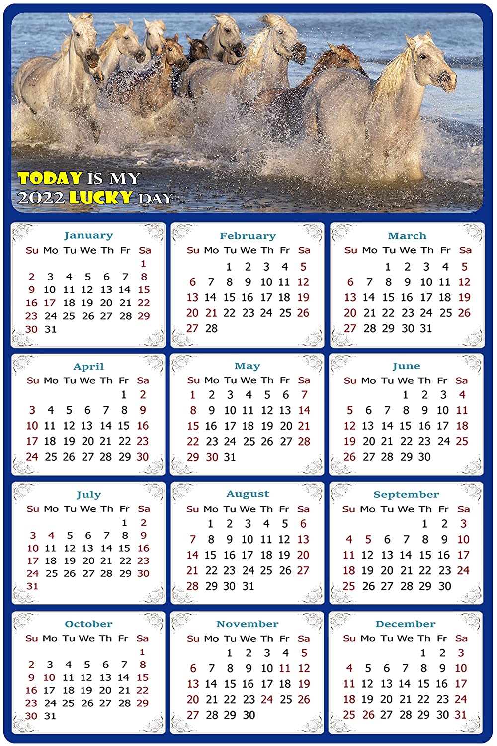 Pelican-Industrial 2021 Magnetic Calendar - Calendar Magnets - Today is My Lucky Day - Horses Themed 08 (5.25 x 8)