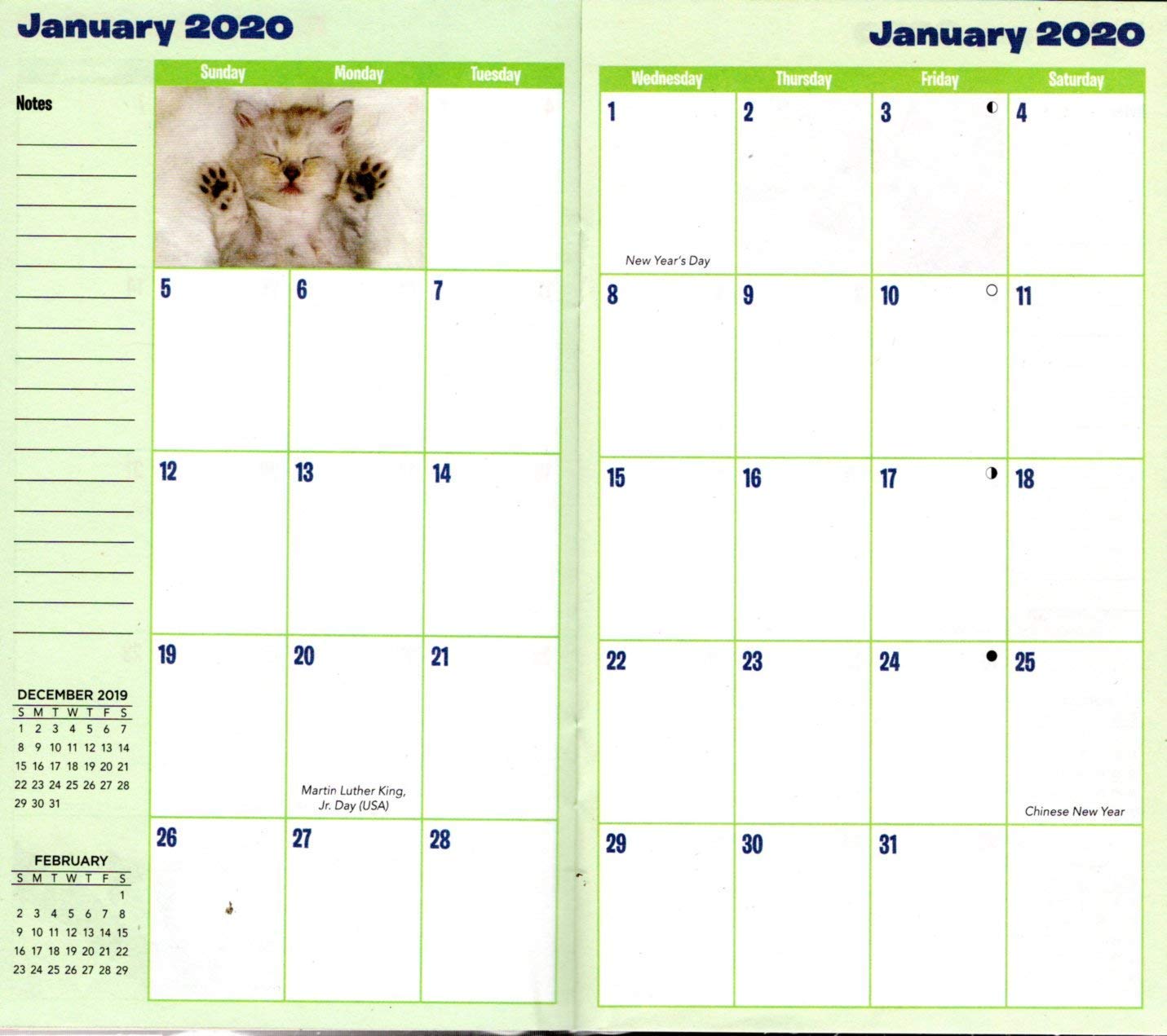 Pocket Planner Calendar ni1930 Kittens - 2019-2020 2 Year ...