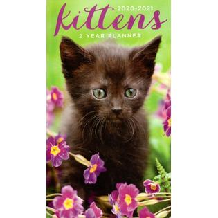Greenbier International Bb587 Kittens 2020 2021 2 Year Pocket