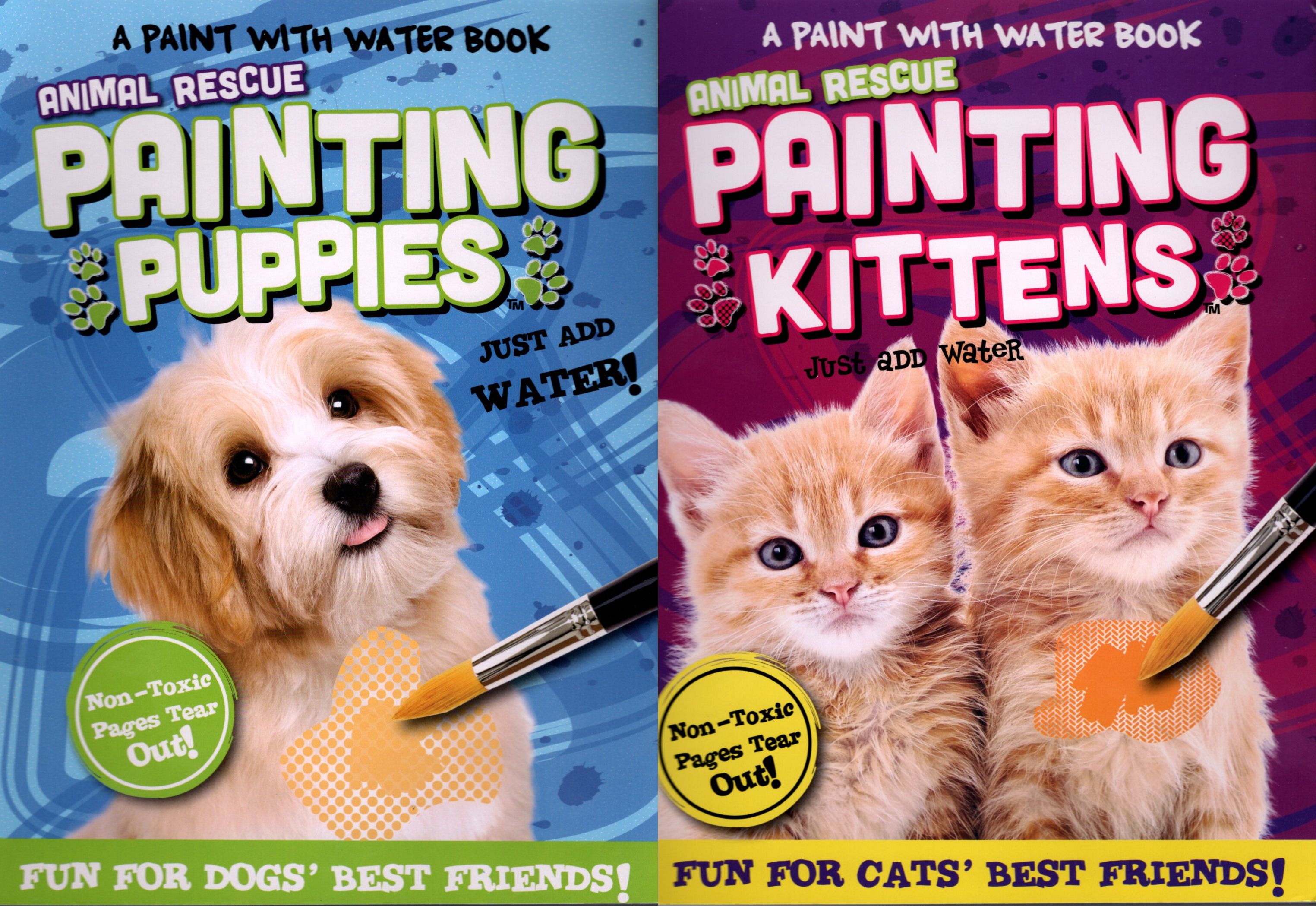 Bendon A Paint with Water - Animal Rescue Painting Kittens ...