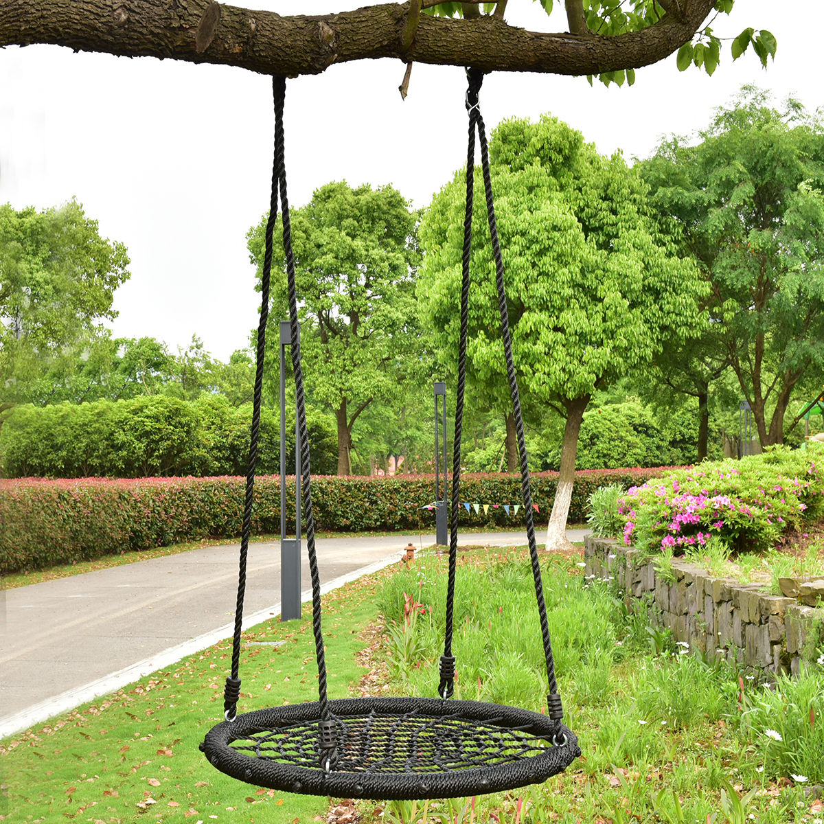 Rope Tree Swings Kids