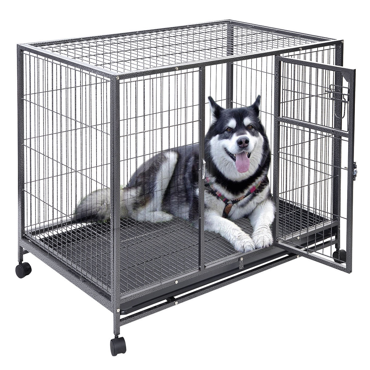 metal wire dog crate