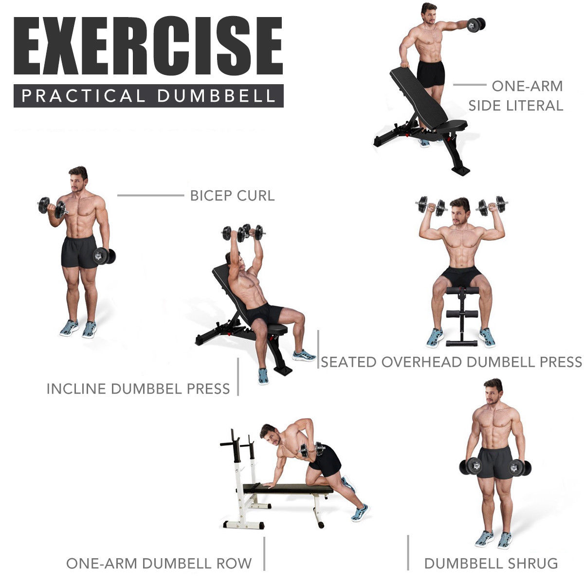 dumbbell set exercise