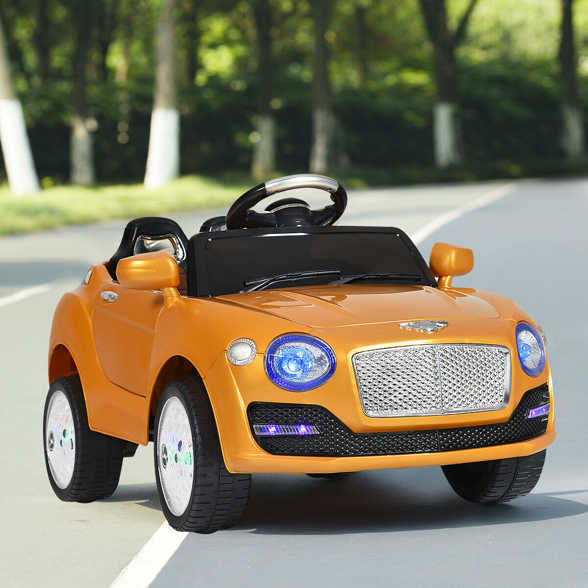 6v kids car battery