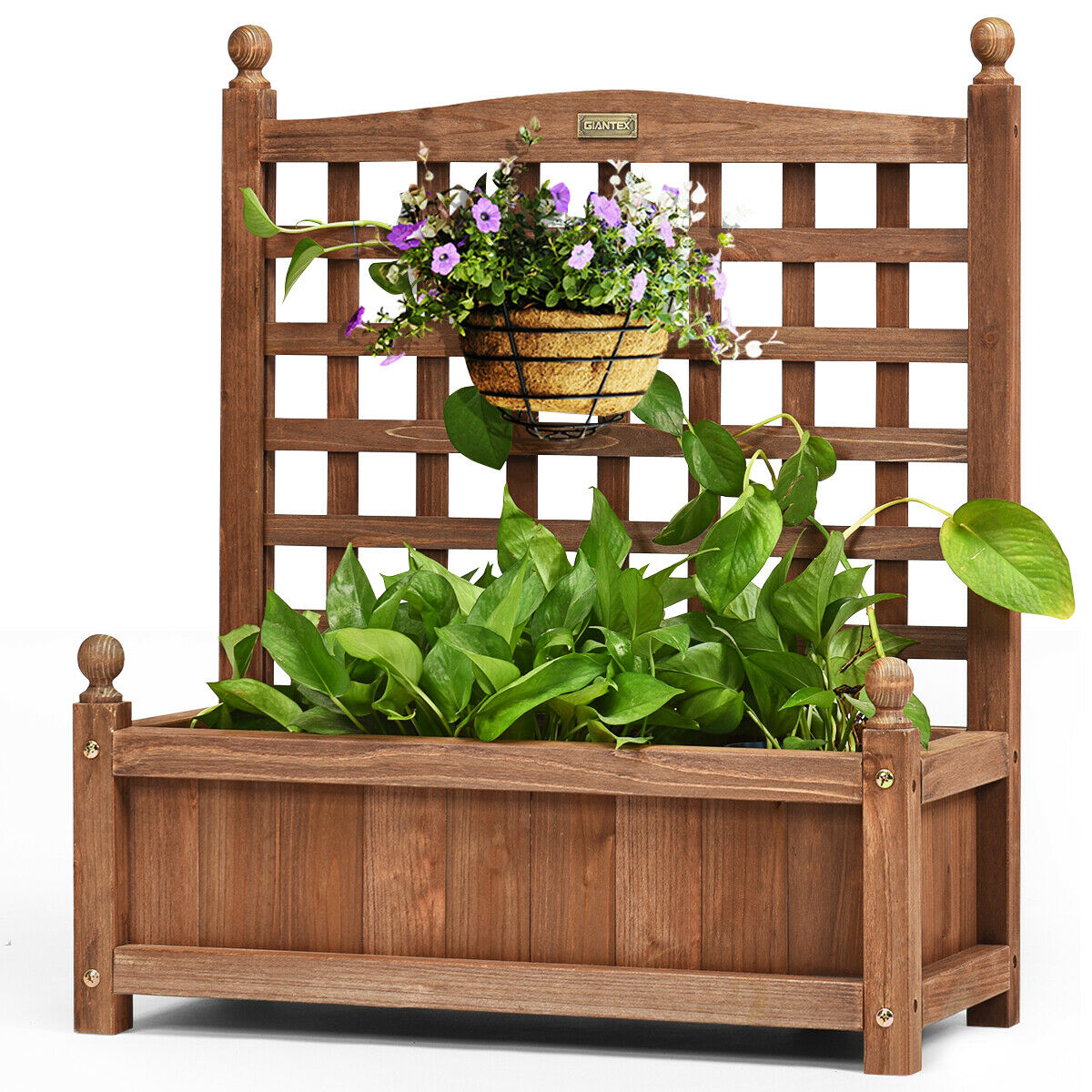 Garden Trellis Garden Arbors Kmart