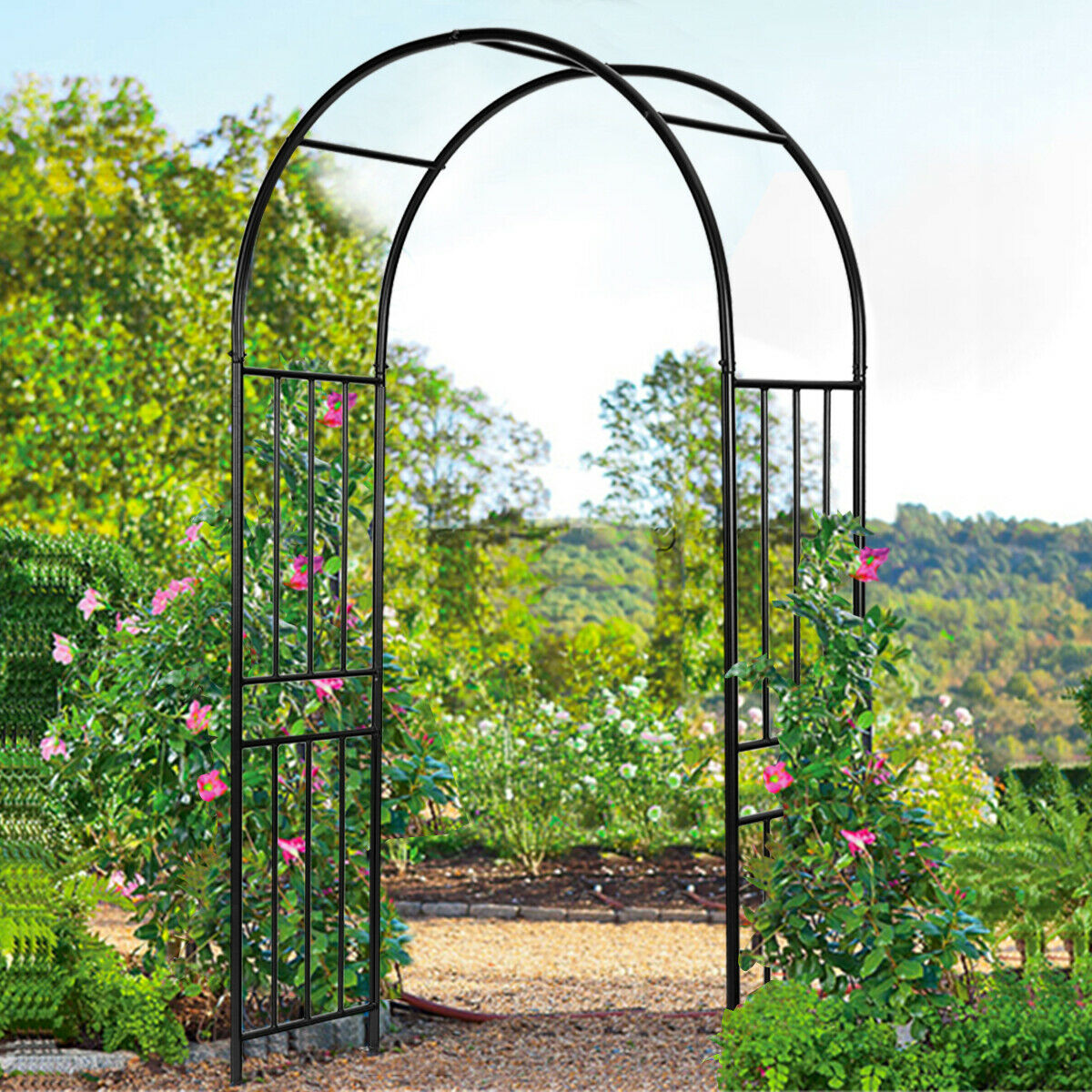 Arbors Trellises Sears