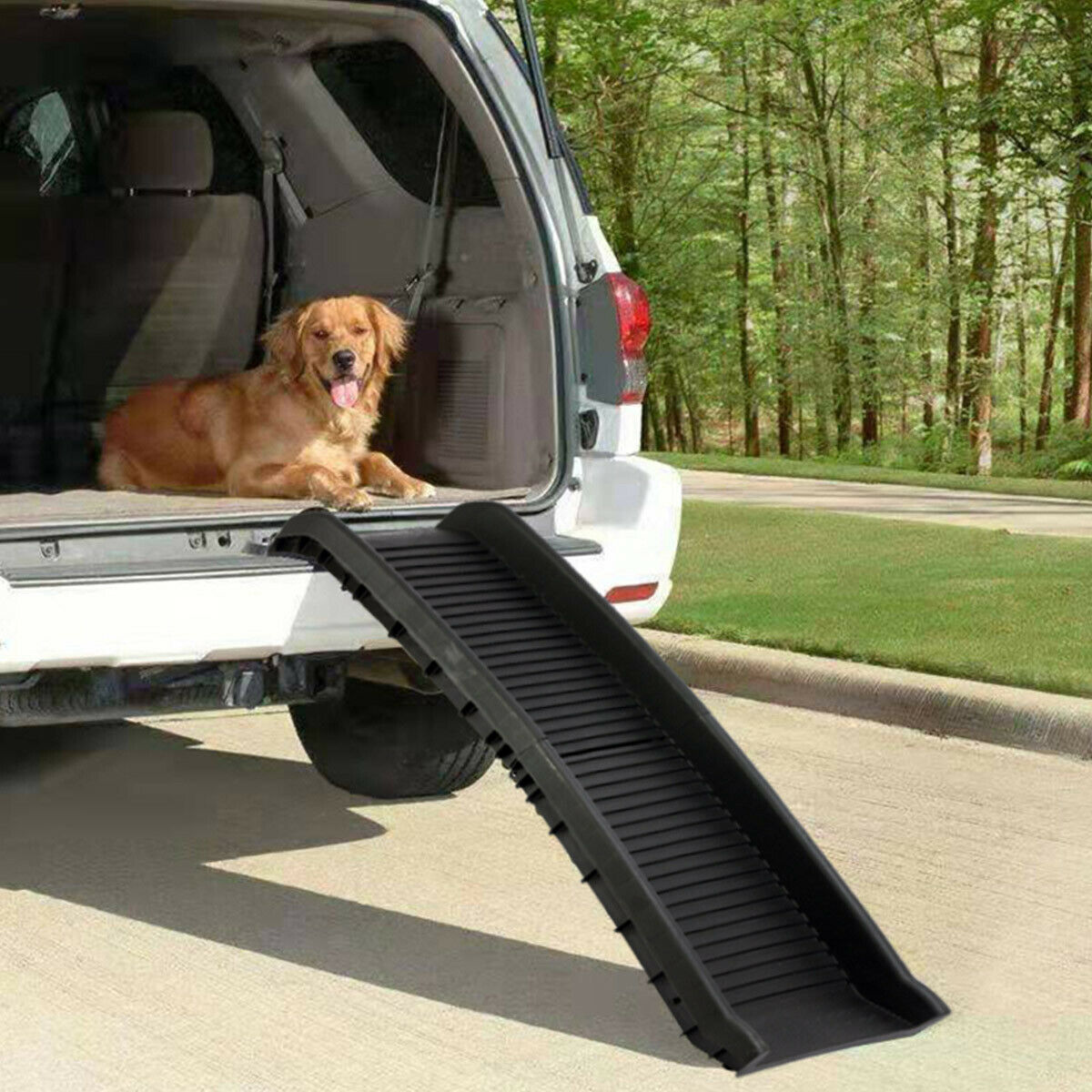 Dog ramp kmart clearance