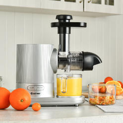 Costway Horizontal Slow Masticating Juicer Cold Press Extractor w/ Brush Silver