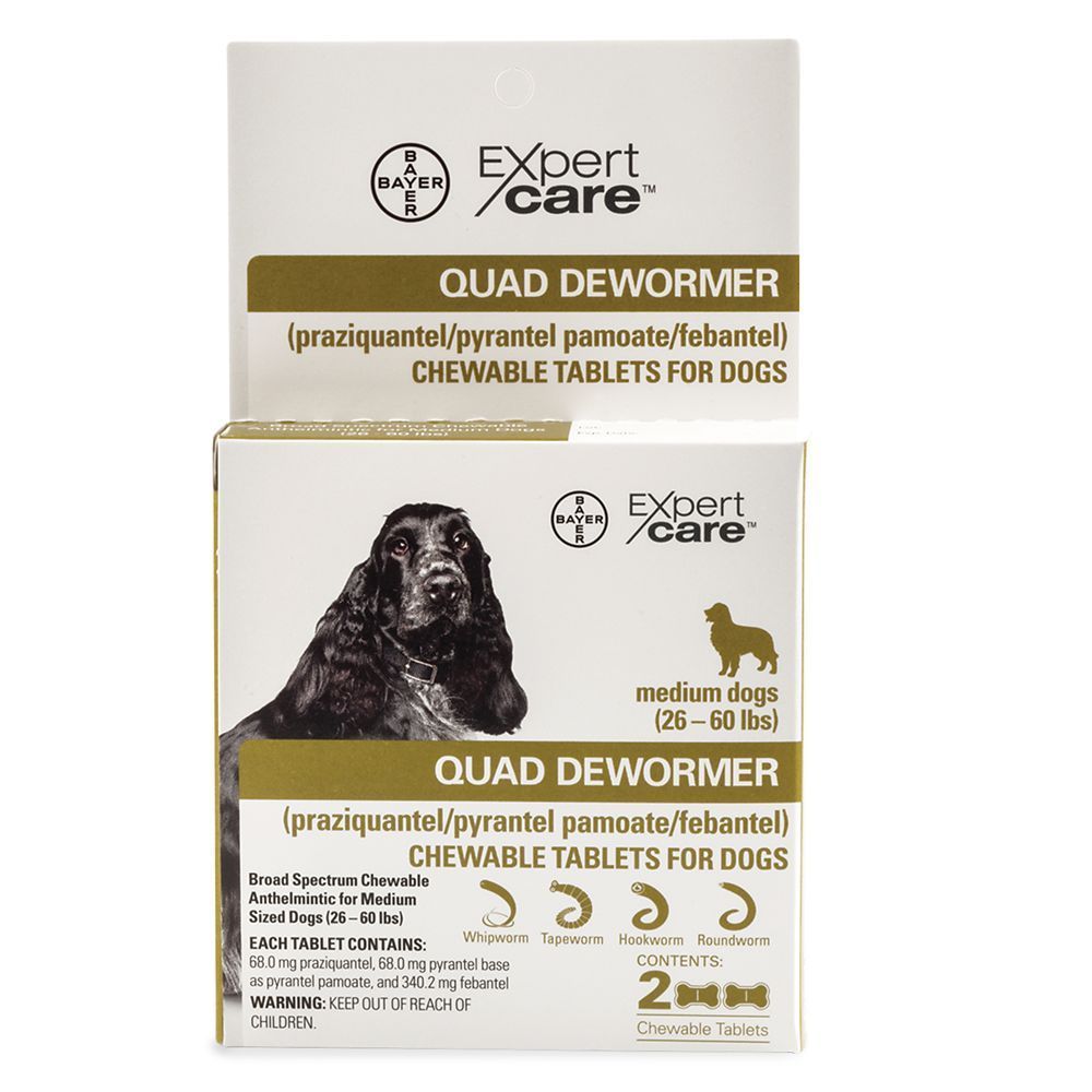 bayer quad medium dog dewormer