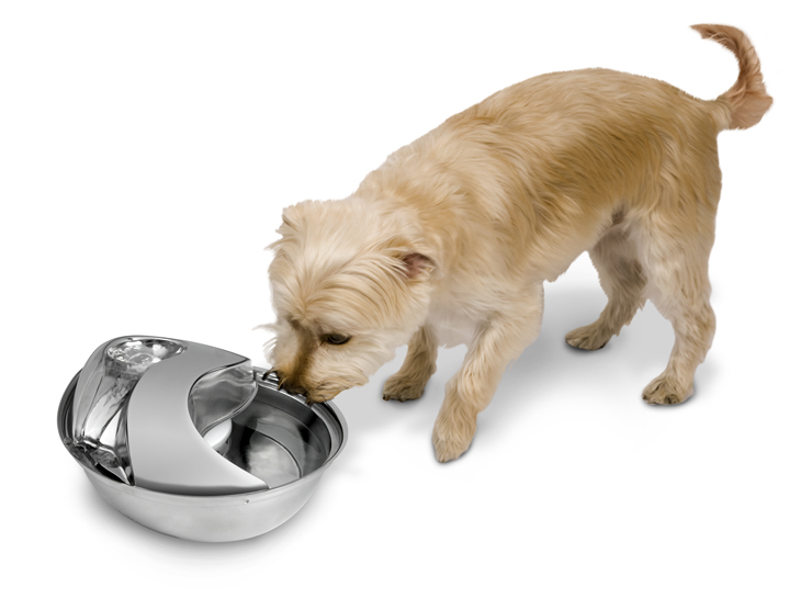 pioneer raindrop fountain