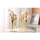 HJN Staggered Vase Desktop Flower Vase，Glass Flower Vases Test Tube with  Gold Metal Stand for
