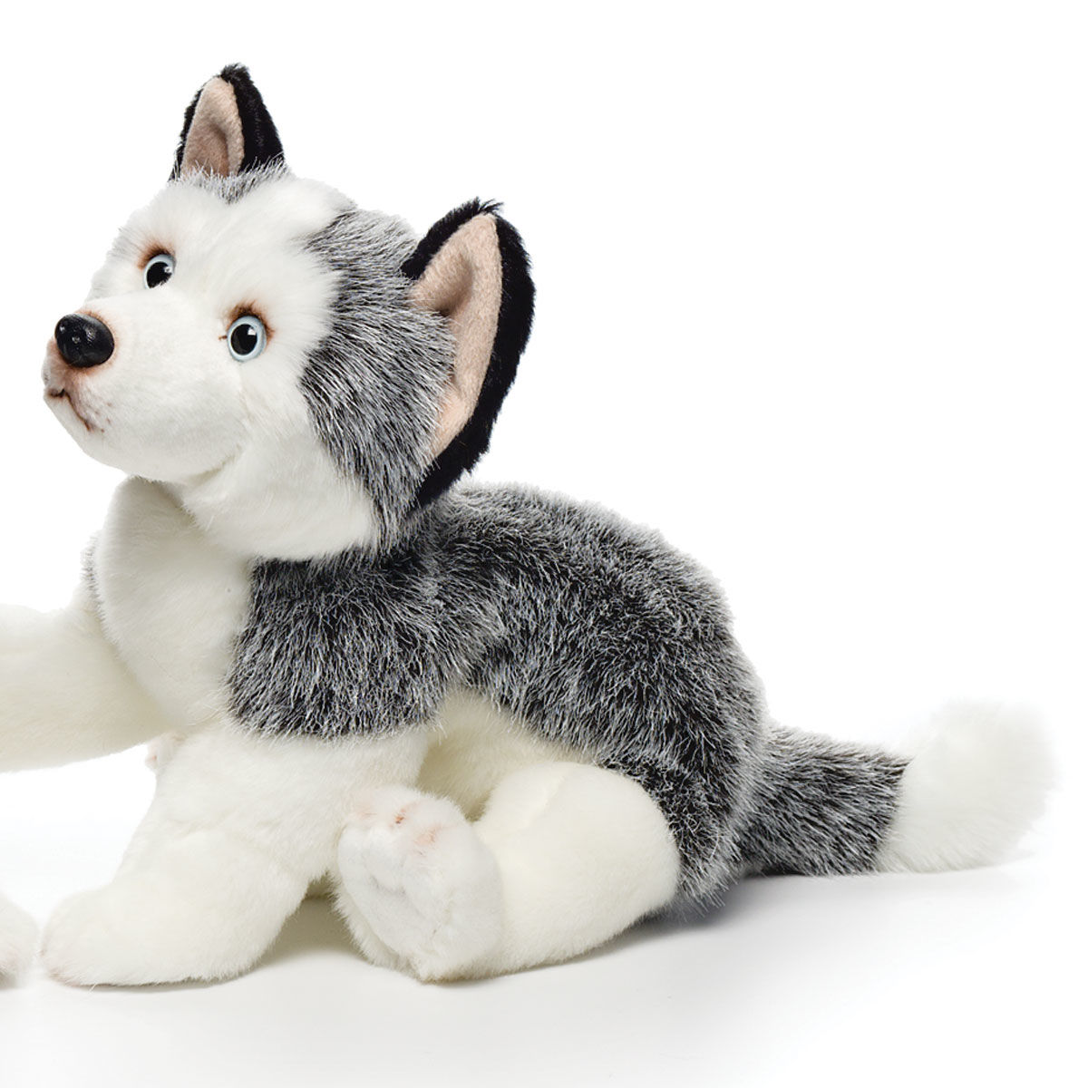 kmart dog puzzle